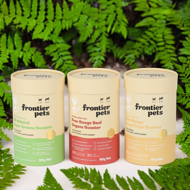 Produtos de papel